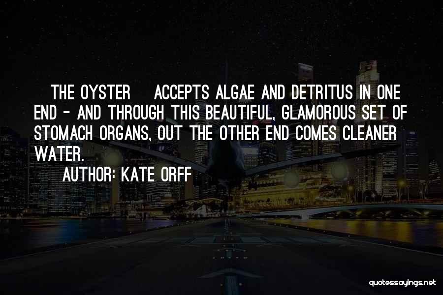 Kate Orff Quotes: [the Oyster] Accepts Algae And Detritus In One End - And Through This Beautiful, Glamorous Set Of Stomach Organs, Out