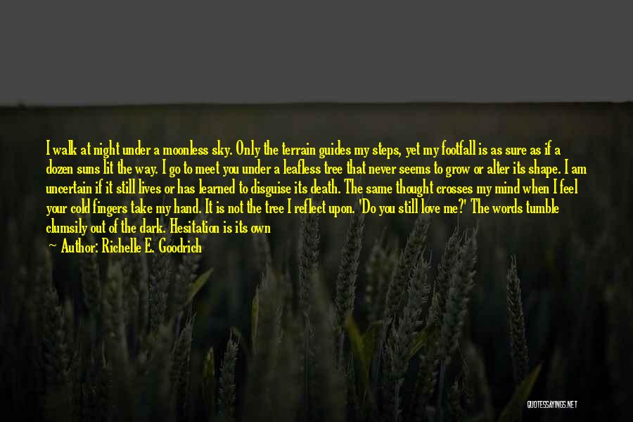 Richelle E. Goodrich Quotes: I Walk At Night Under A Moonless Sky. Only The Terrain Guides My Steps, Yet My Footfall Is As Sure