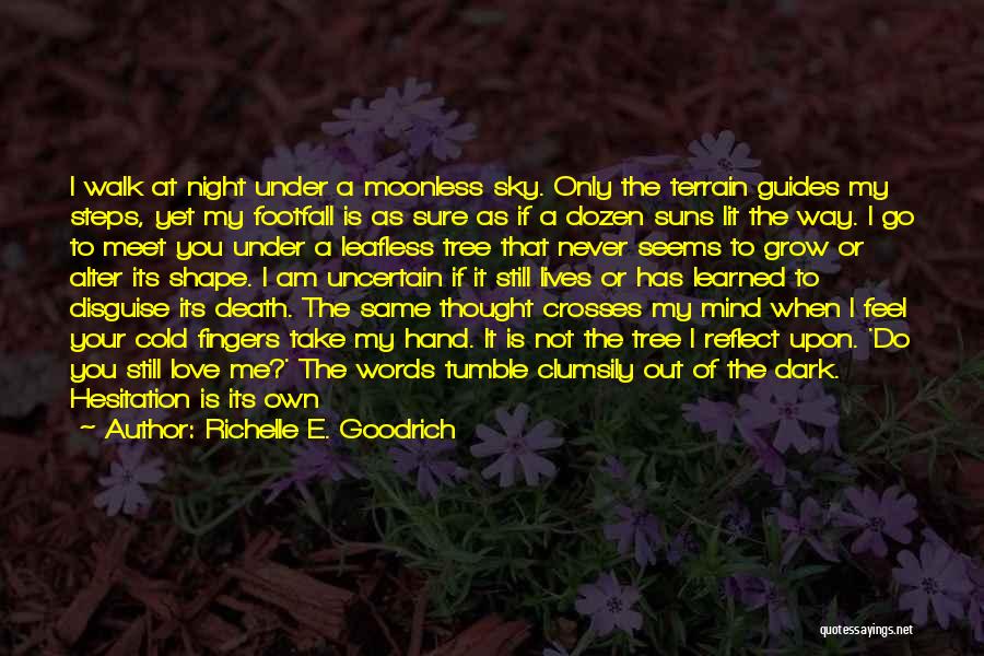 Richelle E. Goodrich Quotes: I Walk At Night Under A Moonless Sky. Only The Terrain Guides My Steps, Yet My Footfall Is As Sure