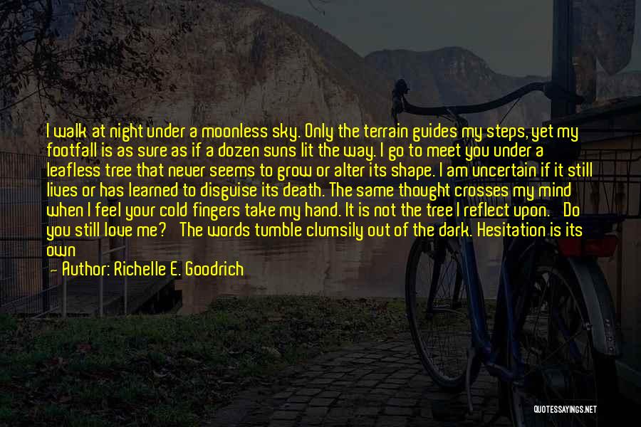 Richelle E. Goodrich Quotes: I Walk At Night Under A Moonless Sky. Only The Terrain Guides My Steps, Yet My Footfall Is As Sure