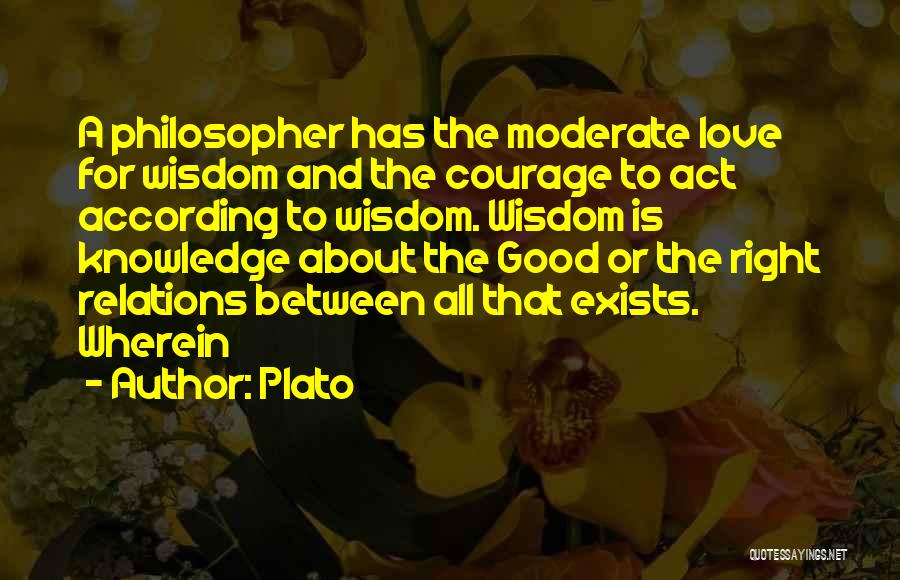 Plato Quotes: A Philosopher Has The Moderate Love For Wisdom And The Courage To Act According To Wisdom. Wisdom Is Knowledge About