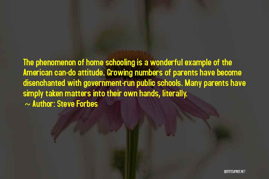 Steve Forbes Quotes: The Phenomenon Of Home Schooling Is A Wonderful Example Of The American Can-do Attitude. Growing Numbers Of Parents Have Become