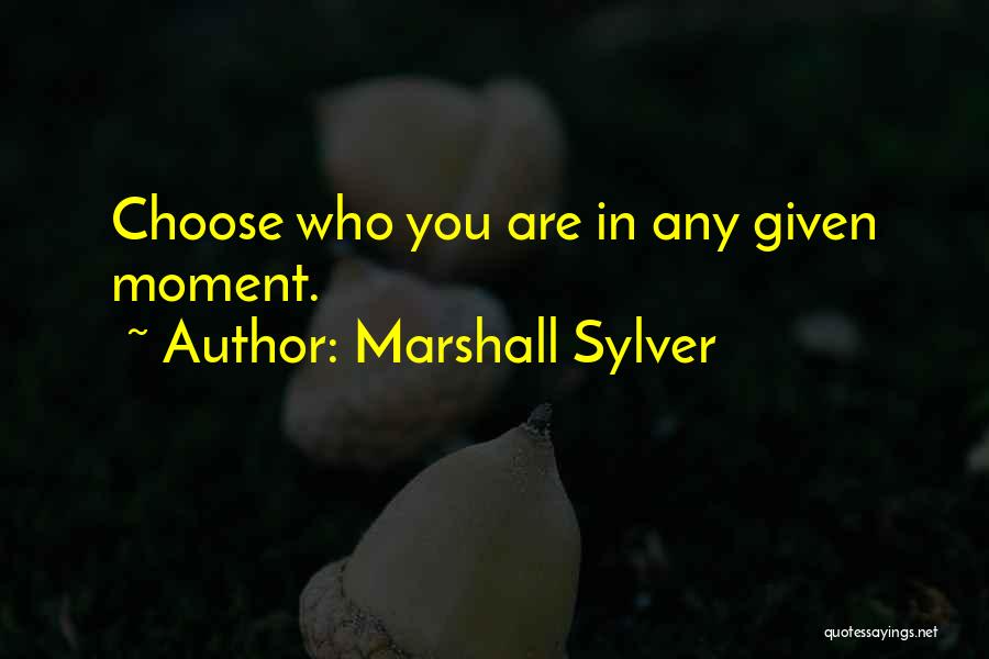 Marshall Sylver Quotes: Choose Who You Are In Any Given Moment.