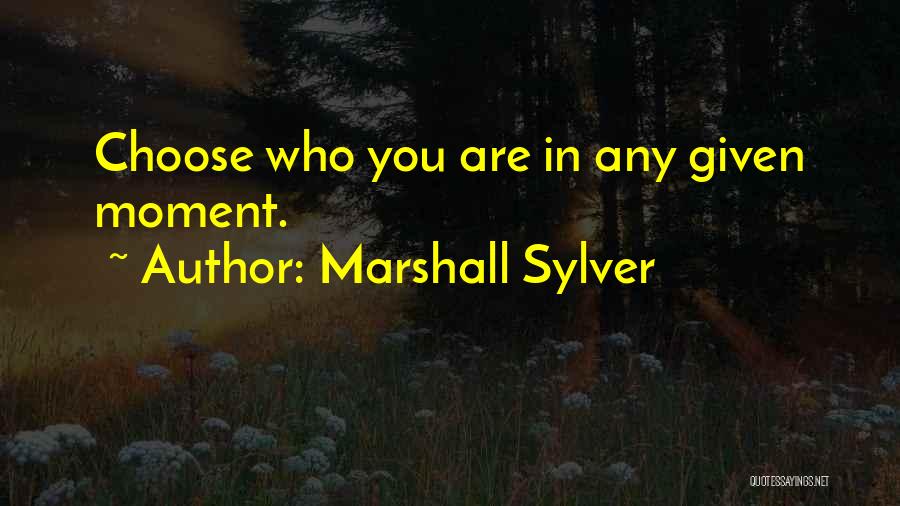 Marshall Sylver Quotes: Choose Who You Are In Any Given Moment.