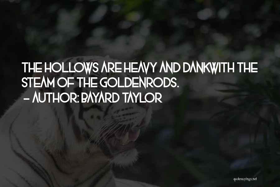 Bayard Taylor Quotes: The Hollows Are Heavy And Dankwith The Steam Of The Goldenrods.