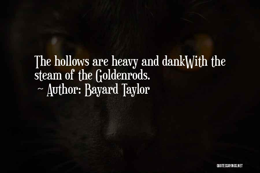 Bayard Taylor Quotes: The Hollows Are Heavy And Dankwith The Steam Of The Goldenrods.