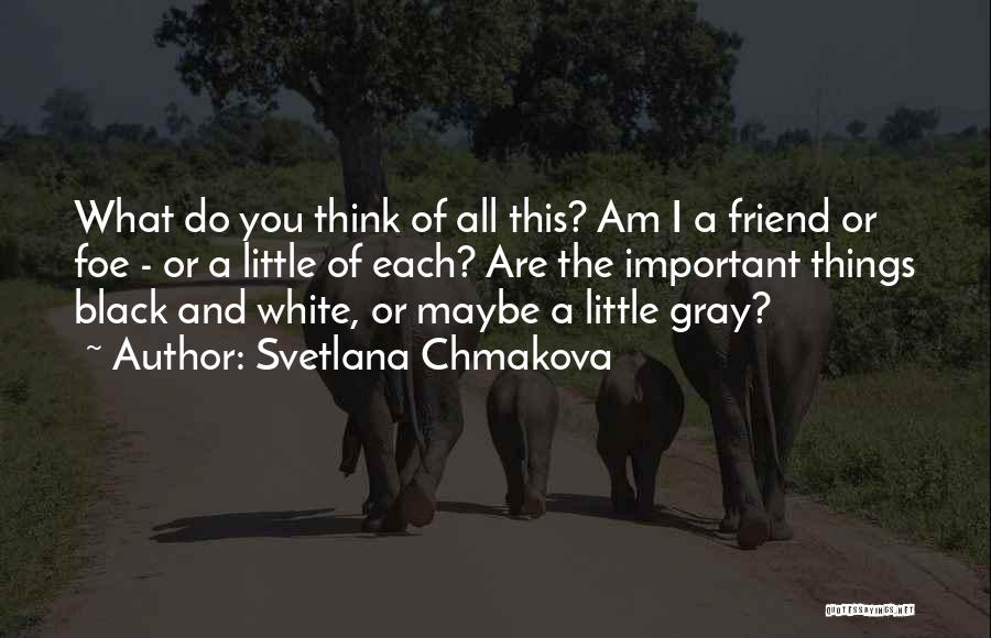 Svetlana Chmakova Quotes: What Do You Think Of All This? Am I A Friend Or Foe - Or A Little Of Each? Are