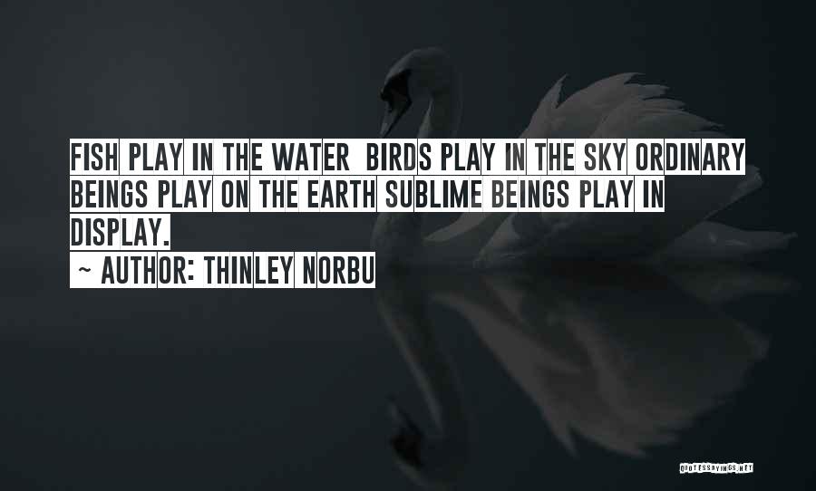 Thinley Norbu Quotes: Fish Play In The Water Birds Play In The Sky Ordinary Beings Play On The Earth Sublime Beings Play In