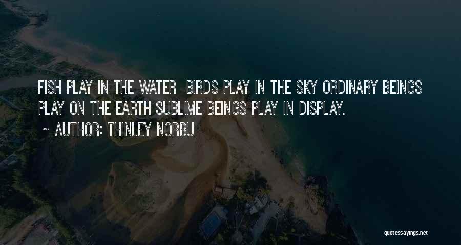 Thinley Norbu Quotes: Fish Play In The Water Birds Play In The Sky Ordinary Beings Play On The Earth Sublime Beings Play In