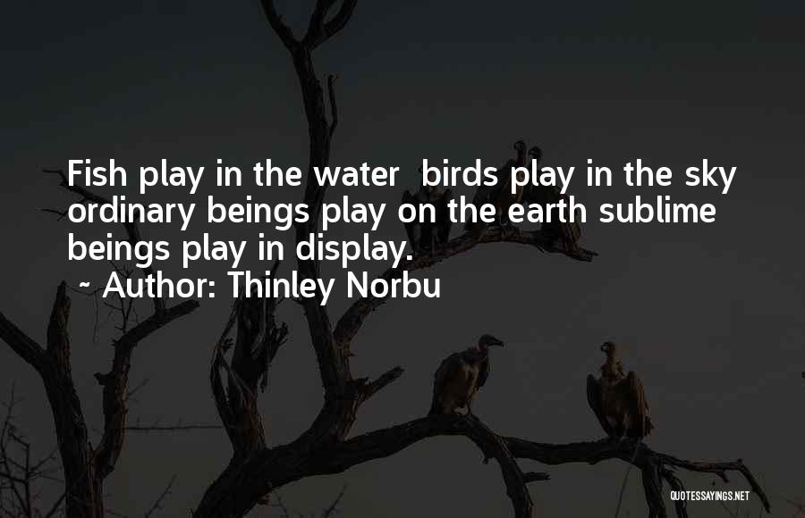 Thinley Norbu Quotes: Fish Play In The Water Birds Play In The Sky Ordinary Beings Play On The Earth Sublime Beings Play In