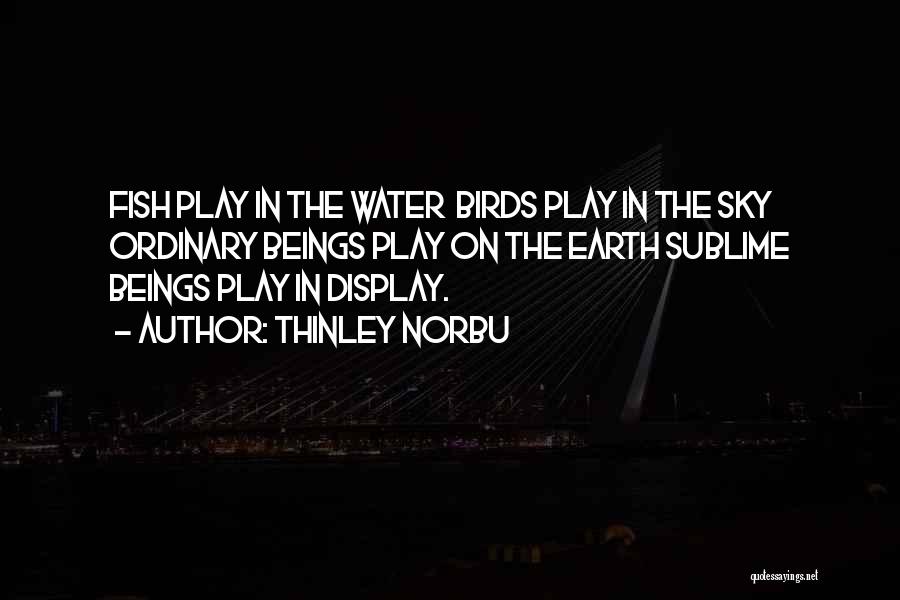 Thinley Norbu Quotes: Fish Play In The Water Birds Play In The Sky Ordinary Beings Play On The Earth Sublime Beings Play In