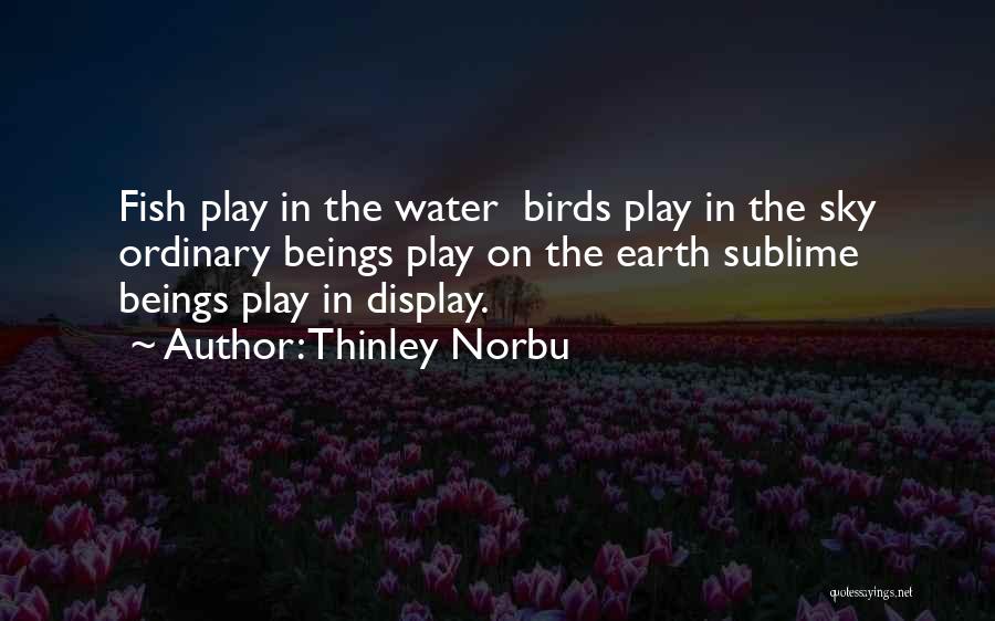 Thinley Norbu Quotes: Fish Play In The Water Birds Play In The Sky Ordinary Beings Play On The Earth Sublime Beings Play In