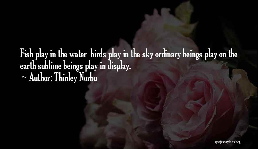 Thinley Norbu Quotes: Fish Play In The Water Birds Play In The Sky Ordinary Beings Play On The Earth Sublime Beings Play In