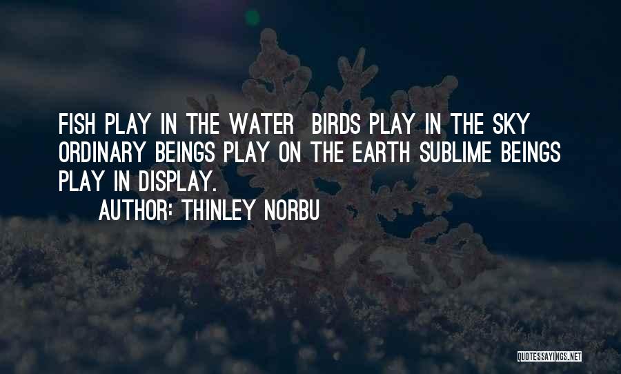 Thinley Norbu Quotes: Fish Play In The Water Birds Play In The Sky Ordinary Beings Play On The Earth Sublime Beings Play In