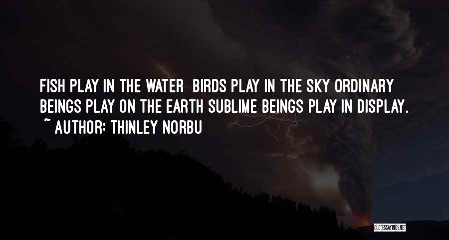Thinley Norbu Quotes: Fish Play In The Water Birds Play In The Sky Ordinary Beings Play On The Earth Sublime Beings Play In