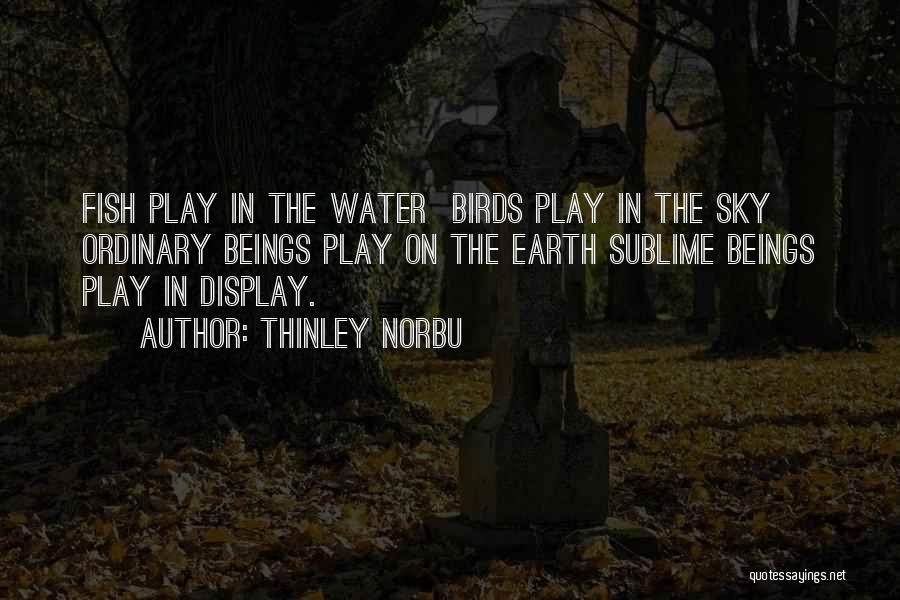 Thinley Norbu Quotes: Fish Play In The Water Birds Play In The Sky Ordinary Beings Play On The Earth Sublime Beings Play In