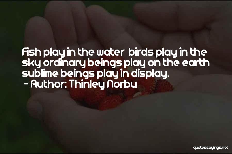 Thinley Norbu Quotes: Fish Play In The Water Birds Play In The Sky Ordinary Beings Play On The Earth Sublime Beings Play In