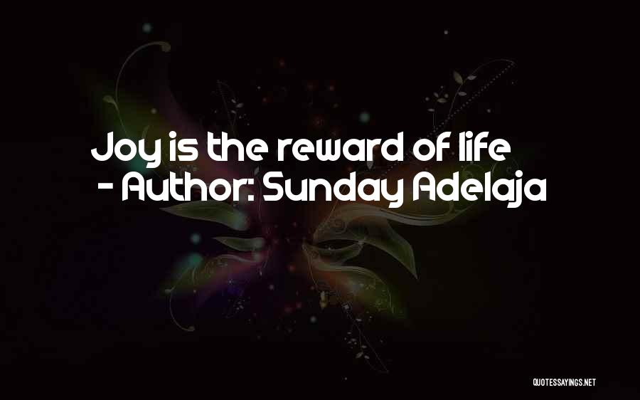 Sunday Adelaja Quotes: Joy Is The Reward Of Life