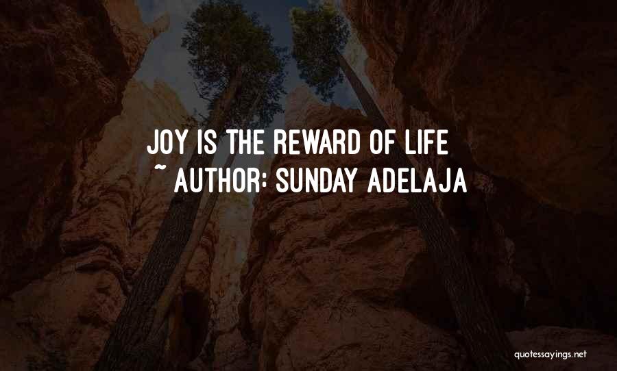 Sunday Adelaja Quotes: Joy Is The Reward Of Life