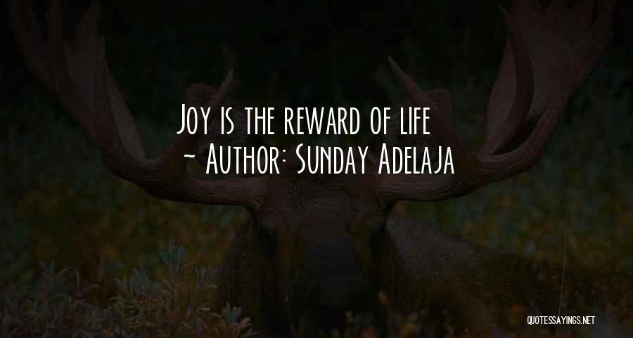 Sunday Adelaja Quotes: Joy Is The Reward Of Life