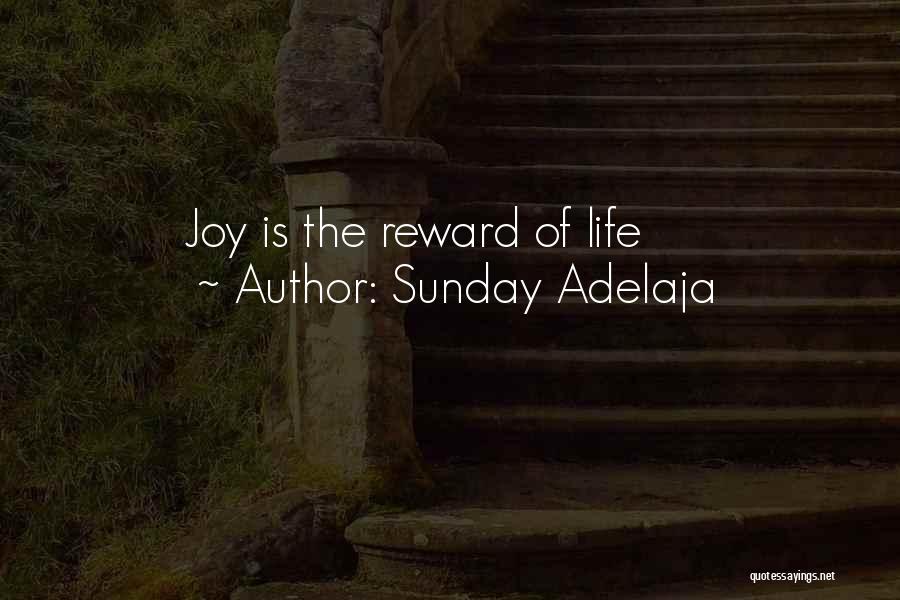 Sunday Adelaja Quotes: Joy Is The Reward Of Life