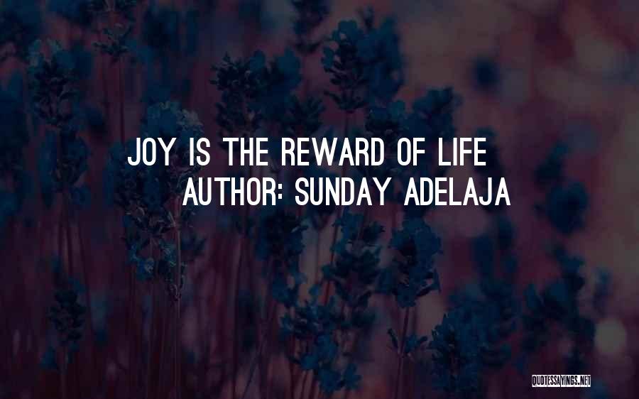 Sunday Adelaja Quotes: Joy Is The Reward Of Life