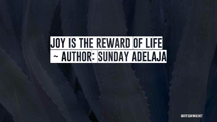 Sunday Adelaja Quotes: Joy Is The Reward Of Life