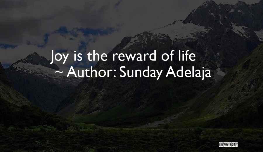 Sunday Adelaja Quotes: Joy Is The Reward Of Life