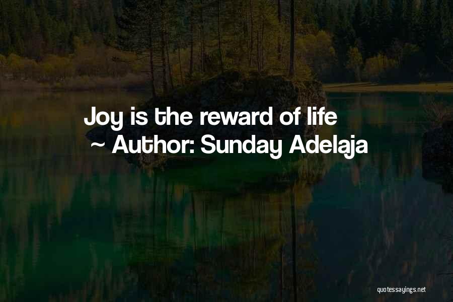 Sunday Adelaja Quotes: Joy Is The Reward Of Life
