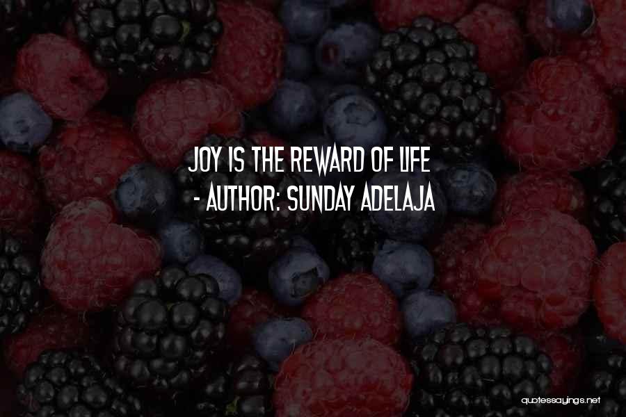 Sunday Adelaja Quotes: Joy Is The Reward Of Life