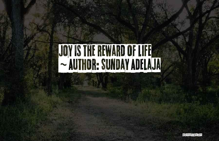 Sunday Adelaja Quotes: Joy Is The Reward Of Life