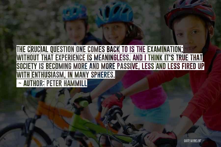 Peter Hammill Quotes: The Crucial Question One Comes Back To Is The Examination; Without That Experience Is Meaningless. And I Think It's True
