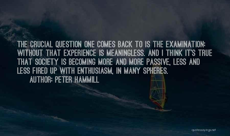 Peter Hammill Quotes: The Crucial Question One Comes Back To Is The Examination; Without That Experience Is Meaningless. And I Think It's True