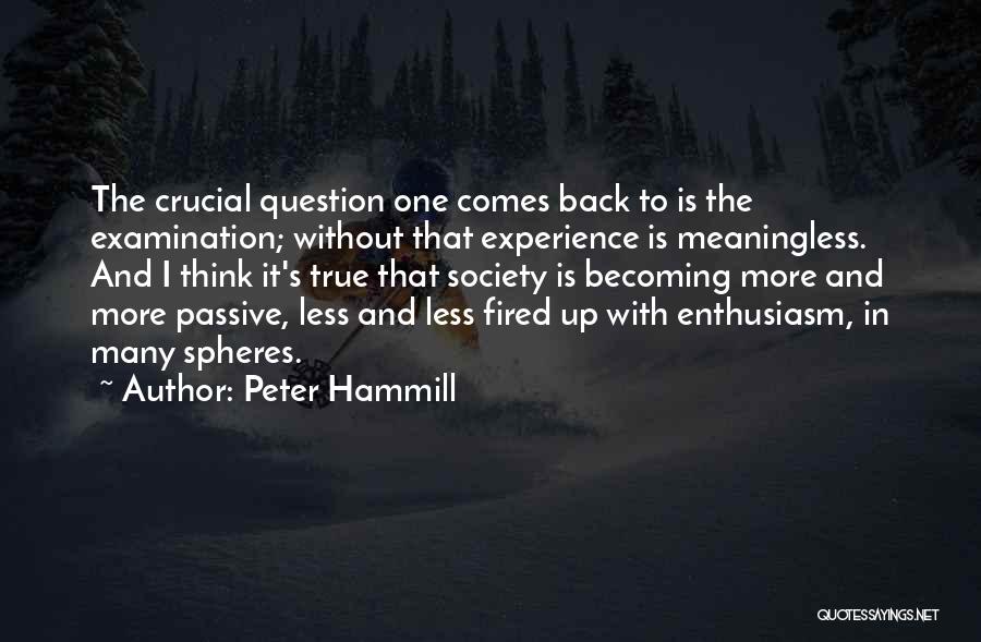 Peter Hammill Quotes: The Crucial Question One Comes Back To Is The Examination; Without That Experience Is Meaningless. And I Think It's True