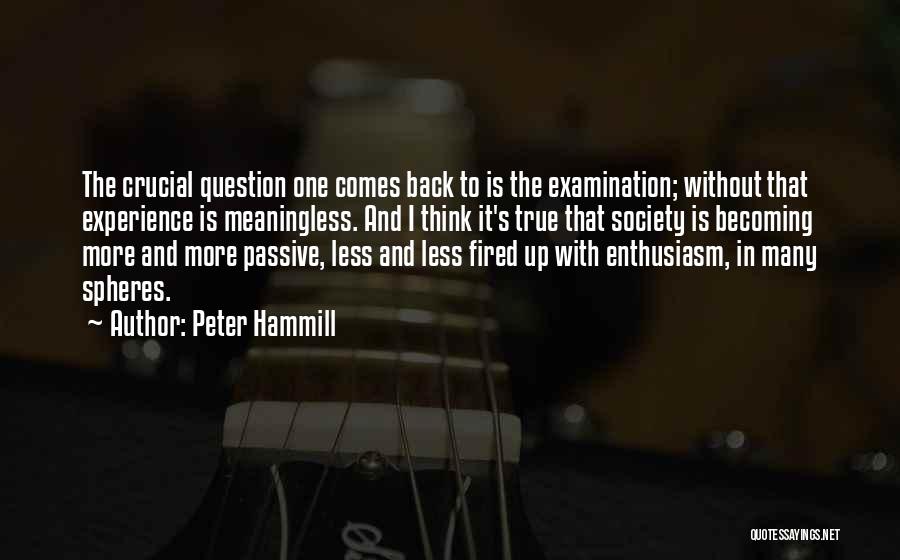 Peter Hammill Quotes: The Crucial Question One Comes Back To Is The Examination; Without That Experience Is Meaningless. And I Think It's True