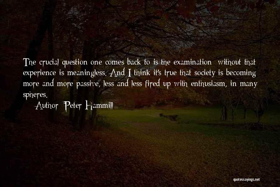 Peter Hammill Quotes: The Crucial Question One Comes Back To Is The Examination; Without That Experience Is Meaningless. And I Think It's True