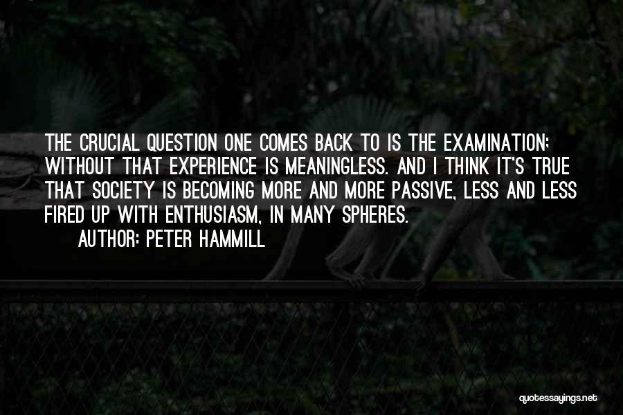 Peter Hammill Quotes: The Crucial Question One Comes Back To Is The Examination; Without That Experience Is Meaningless. And I Think It's True