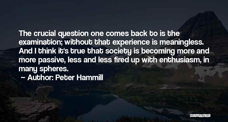 Peter Hammill Quotes: The Crucial Question One Comes Back To Is The Examination; Without That Experience Is Meaningless. And I Think It's True