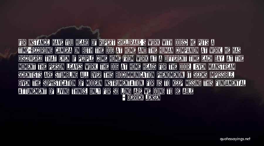 121g Quotes By Derrick Jensen 121g Quotes By Derrick Jensen