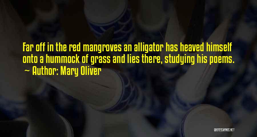 Mary Oliver Quotes: Far Off In The Red Mangroves An Alligator Has Heaved Himself Onto A Hummock Of Grass And Lies There, Studying
