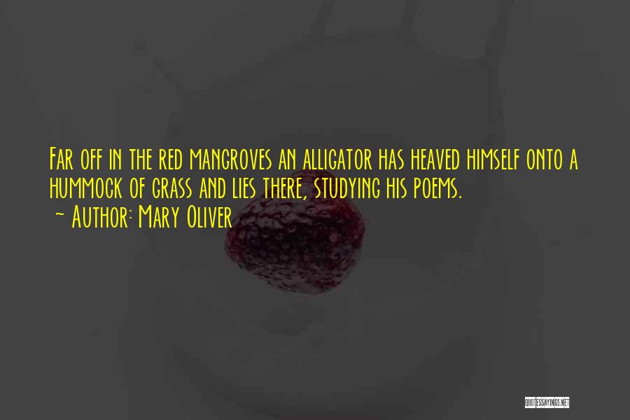 Mary Oliver Quotes: Far Off In The Red Mangroves An Alligator Has Heaved Himself Onto A Hummock Of Grass And Lies There, Studying