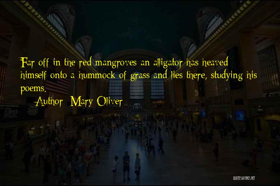 Mary Oliver Quotes: Far Off In The Red Mangroves An Alligator Has Heaved Himself Onto A Hummock Of Grass And Lies There, Studying