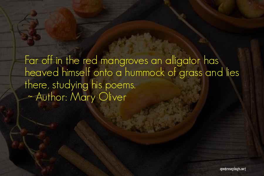 Mary Oliver Quotes: Far Off In The Red Mangroves An Alligator Has Heaved Himself Onto A Hummock Of Grass And Lies There, Studying