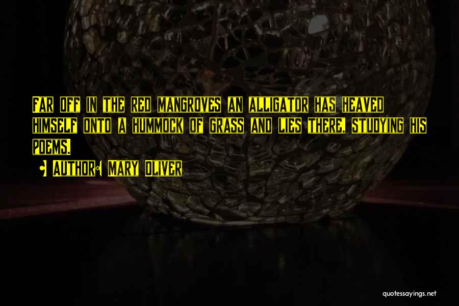Mary Oliver Quotes: Far Off In The Red Mangroves An Alligator Has Heaved Himself Onto A Hummock Of Grass And Lies There, Studying