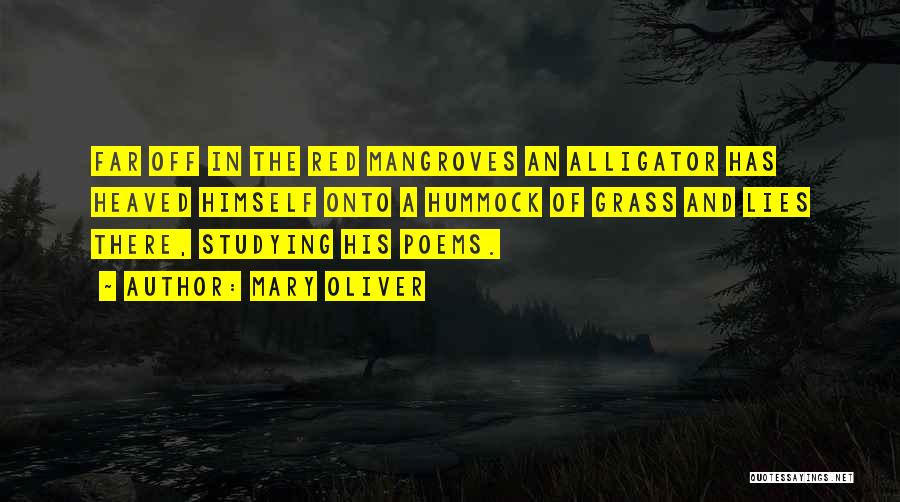 Mary Oliver Quotes: Far Off In The Red Mangroves An Alligator Has Heaved Himself Onto A Hummock Of Grass And Lies There, Studying