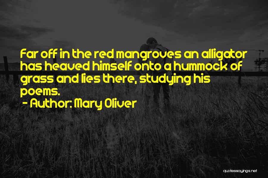 Mary Oliver Quotes: Far Off In The Red Mangroves An Alligator Has Heaved Himself Onto A Hummock Of Grass And Lies There, Studying