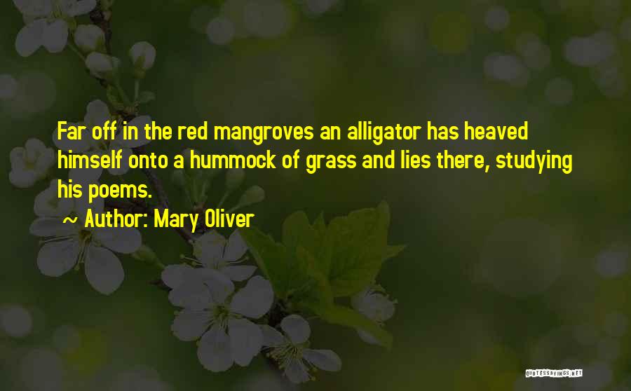 Mary Oliver Quotes: Far Off In The Red Mangroves An Alligator Has Heaved Himself Onto A Hummock Of Grass And Lies There, Studying
