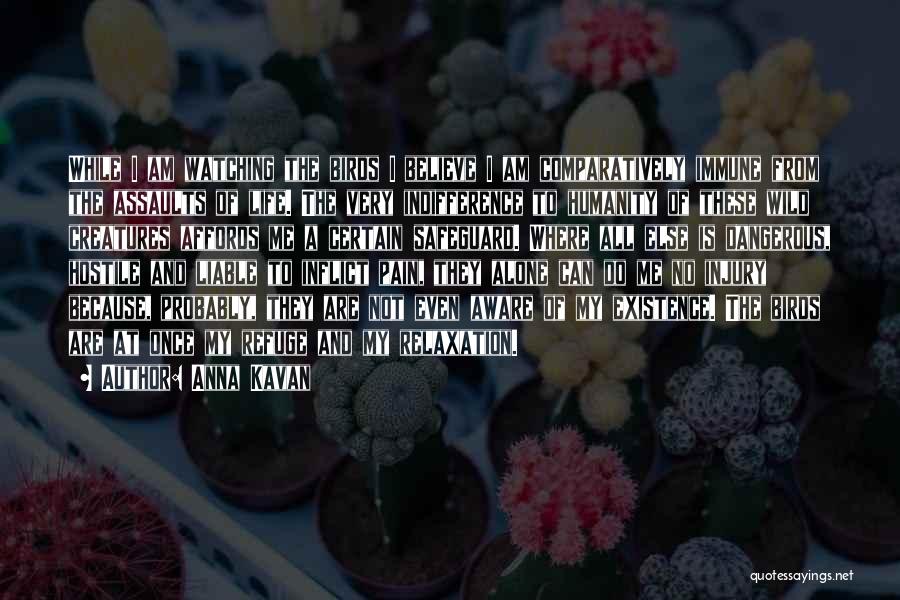 Anna Kavan Quotes: While I Am Watching The Birds I Believe I Am Comparatively Immune From The Assaults Of Life. The Very Indifference