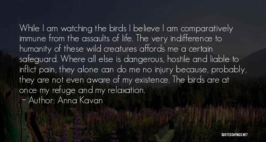 Anna Kavan Quotes: While I Am Watching The Birds I Believe I Am Comparatively Immune From The Assaults Of Life. The Very Indifference