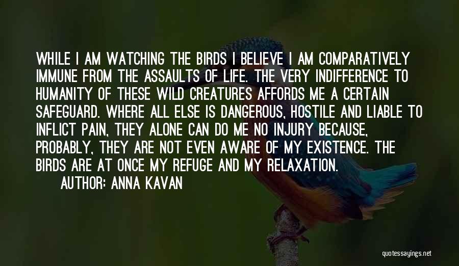 Anna Kavan Quotes: While I Am Watching The Birds I Believe I Am Comparatively Immune From The Assaults Of Life. The Very Indifference